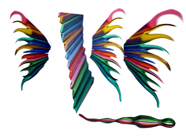 Creation of Bookenfly: Step 1